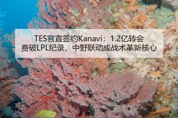 TES官宣签约Kanavi：1.2亿转会费破LPL纪录，中野联动成战术革新核心
